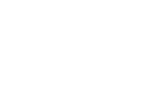 Damien Tarrio / CEO - Founder Cercl