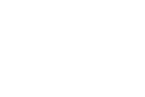 Cyril Pergaud / CEO - Founder The MUZES